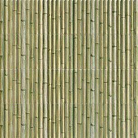 Плитка керамическая Mainzu BAMBOO PT03452 GREEN 15х30 (кв.м.) от Водопад  фото 1