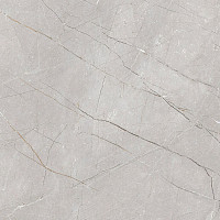 Керамогранит Gravita Larice Grey 60 x 60 (кв.м.) от Водопад  фото 1